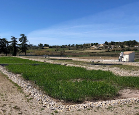 STATION D’EPURATION ECOLOGIQUE à Pouzolles